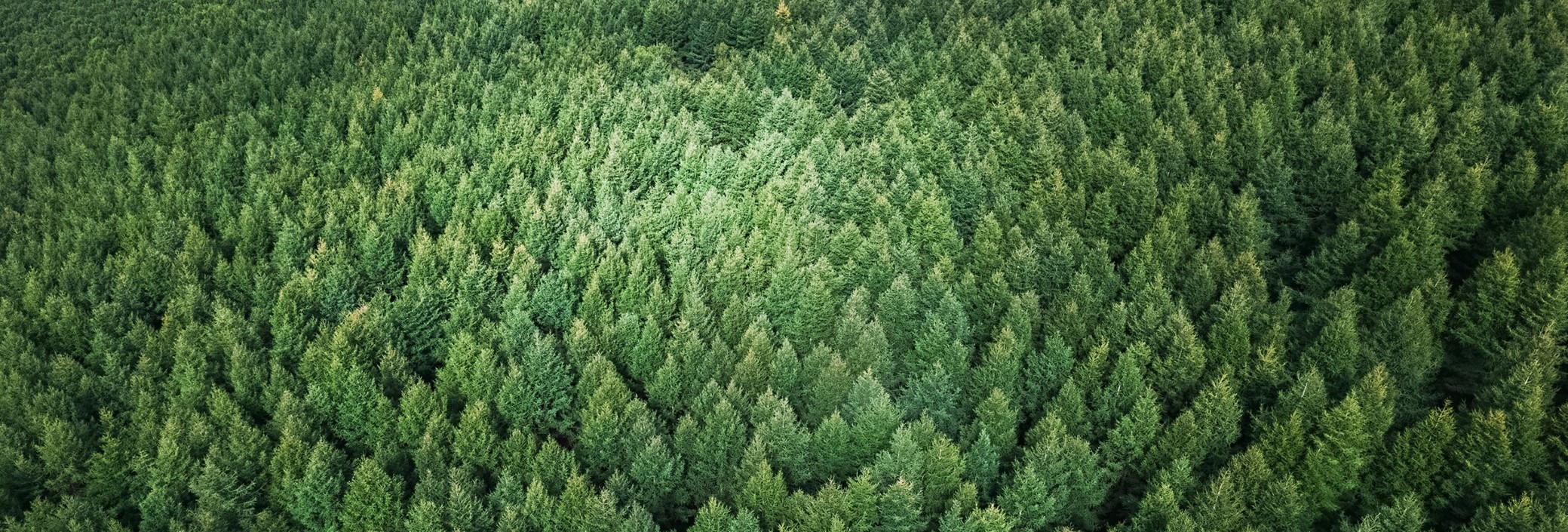 Create sustainable value